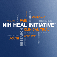 NIH HEAL (Helping to End Addiction Long-term) Initiative 