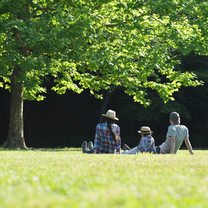 Summer health - family in a park 