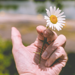 Hand with flower in between the first two fingers