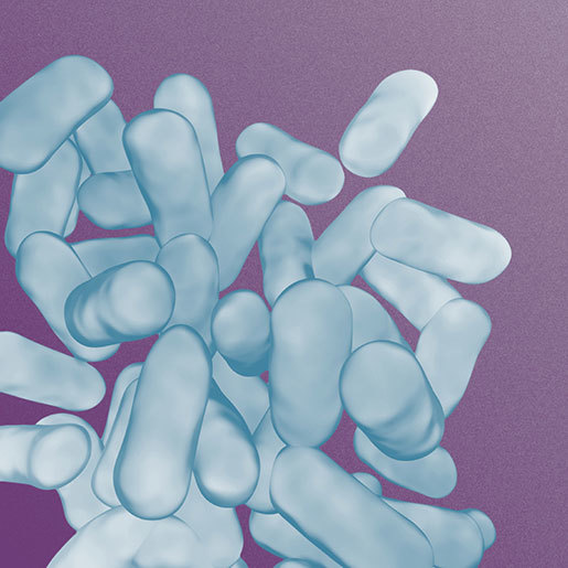 lactobacillusbacteriaprobiotic-newcolors