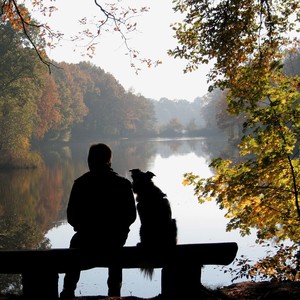 You see a man and a dog as a silhouette in front of an autumn landscape.