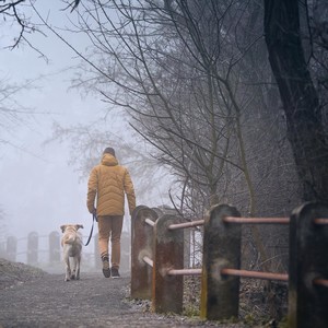 Young man walking with his dog (labrador retriever) on sidewalk in gloomy foggy mornig.