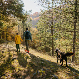 Photo of father and his son enjoying a beautiful day in the forest