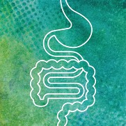 PIEZO2 Ion Channel Plays a Key Role in Gastrointestinal Motility and Bowel Sensation