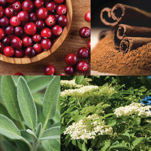 Holiday Herbs Medley 