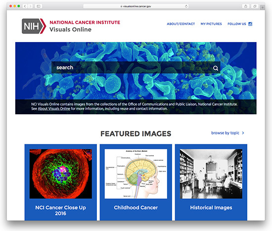 Visuals Online screenshot