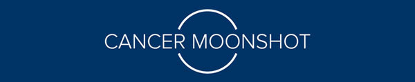 Moonshot banner