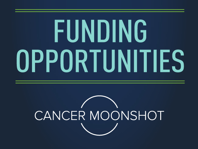 funding-opportunities