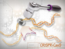 CRISPR-Cas9-gene-editing