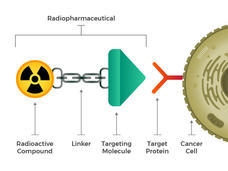 Radiopharmaceuticals-diagram