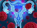 illustration of female reproductive organs