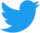 Twitter official logo