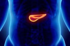 A 3-D rendering of a human pancreas.