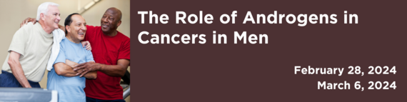 The Role of Androgens in Cancers in Men