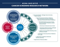 Structure of the Cancer Screening Research Network