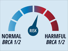 a dial shows that your risk of cancer goes up with BRCA mutations