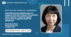 Banner: NCI Cancer Prevention-Interception Targeted Agent Discovery Program (CAP-IT) Research NOSI