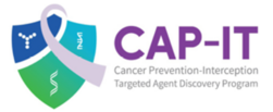 CAP-IT logo