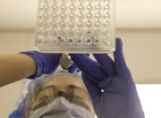 Rapid Genetic Test Could Help Guide Brain Cancer Surgery. Credit: Used with permission from Matt O’Brien at NYU Langone