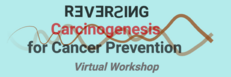 Reversing Carcinogenesis