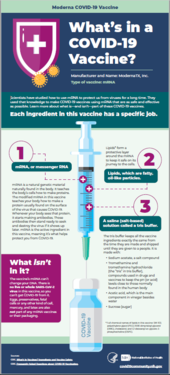 Thumbnail for Moderna Vaccine infographic