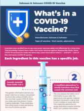 Thumbnail for Johnson & Johnson vaccine ingredient infographic