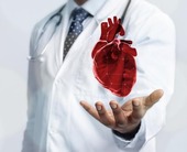 Doctor holding 3D image of heart 