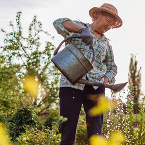 An older woman waters flowers outdoors. 