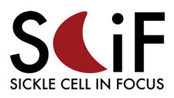 Sickle Cell in Focus 2024 meeting logo