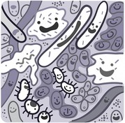 Illustration of microbes