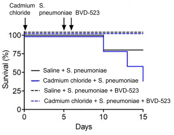 Line graph characterizing mice survival pre- and post-exposure to BVD-523, showing mice survival staying at 100% following exposure.