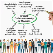 Role of Work in Health Disparities, Social Determinants of Health