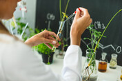 Researcher with Plants