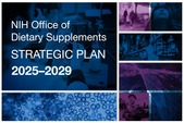 ODS Strategic Plan 2025-2029