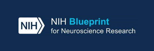 NIH Blueprint