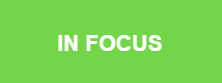 In Focus box - light green