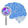 BRAIN Initiative Logo