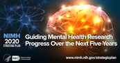 NIMH Strategic Plan for Research Promotional Image
