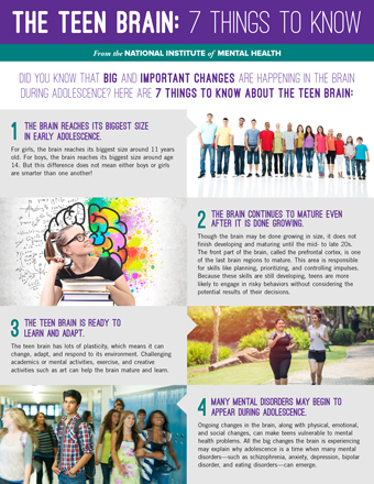 The Teen Brain Fact Sheet 