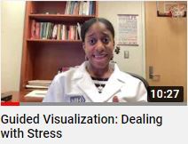 Guided Visualization: Dealing with Stress