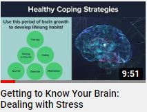 Getting to Know Your Brain: Dealing with Stress