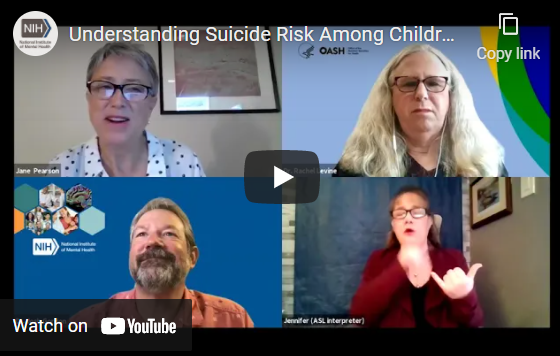 Screenshot of Understanding Suicide Risk Among Children and Pre-teens: A Synthesis Workshop