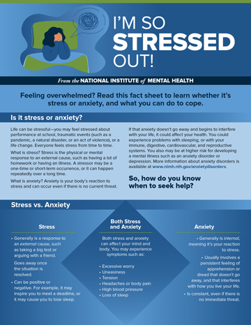 Cover of Im So Stressed Out Fact Sheet