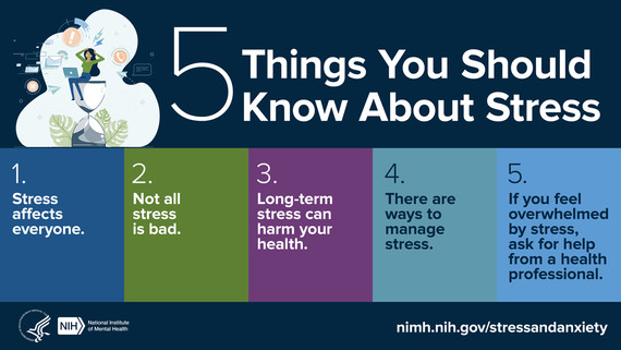 5 Things You Should Know About Stress infographic