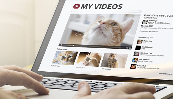 An open laptop shows a page of cat videos labeled "MY VIDEOS."
