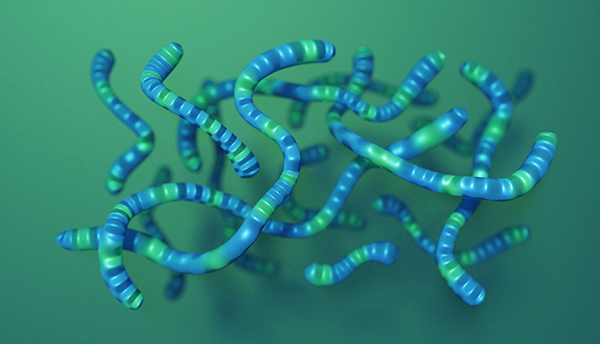 Visualization of PCDTPT strands shows blue and green gummy worm shapes on a green background. 