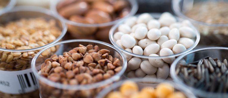 plastic cups of cereals and nots in a food manufacturing quality control facility