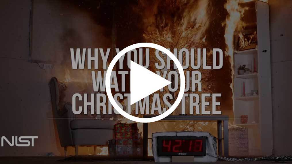 Video still showing flames includes title: Why You Should Water Your Christmas Tree