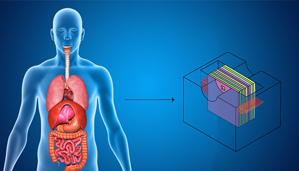 Illustration shows diagram of human body with organs and cube with square inserts in different colors.