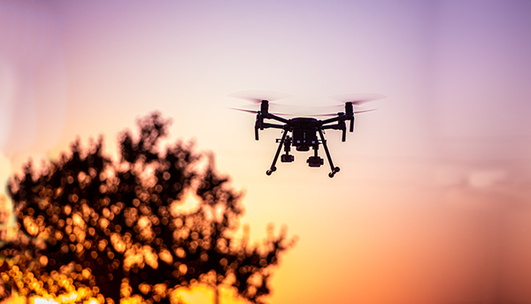 A flying drone is silhouetted against a sunset, along with a tree.